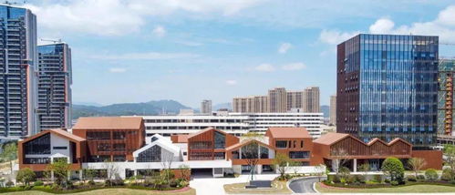 红盘解码 国鸿中心硬核产品力扛鼎温州改善市场