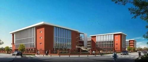 苗桥小学和城南中学学区划分确定,这个小区业主笑了