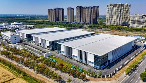 国庆献礼 图鉴 一起来看, 城 长高新