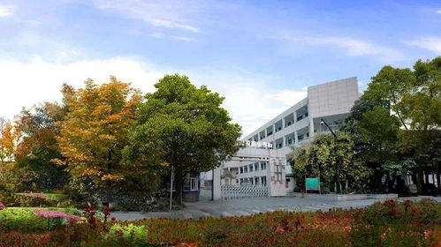 喜报 热烈祝贺我校获评浙江省高水平专业群建设单位