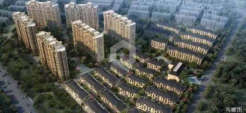 昆山花桥中心校学区房 售楼处独家揭秘与真相解析