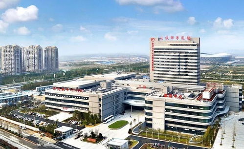 徐州爆发提速 两年后的城市新蓝图与昆山花桥中心校的教育启示