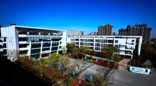 唱响校歌给党听 昆山市娄江实验学校 璀璨未来